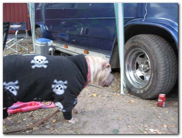 624x474 pixels (39K)